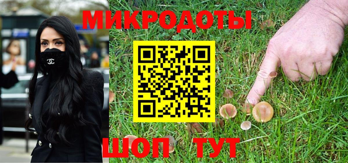Псилоцибиновые грибы Psilocybine cubensis Старая Купавна